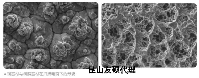 张家界蔡司张家界扫描电镜